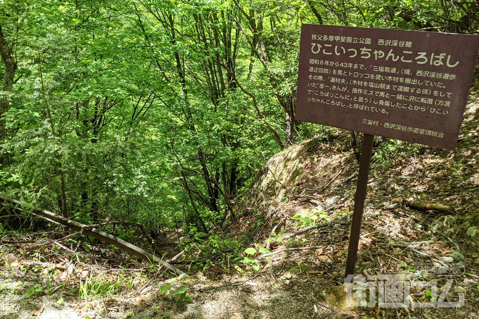 西沢渓谷ハイキングコース復路「ひこいっちゃんころばし」