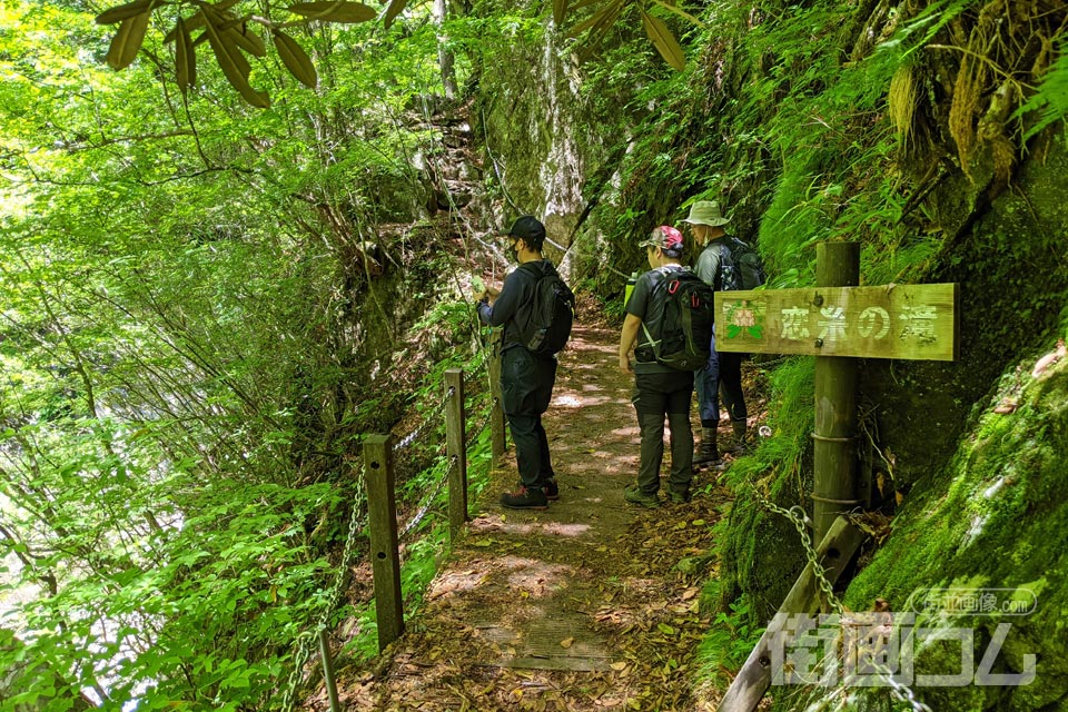 西沢渓谷ハイキングコース恋糸の滝付近