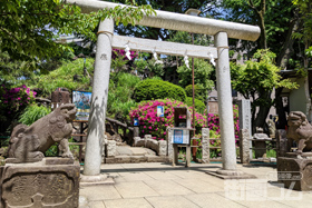 鳩森八幡神社の「千駄ヶ谷富士」！都内に現存する最古の富士塚