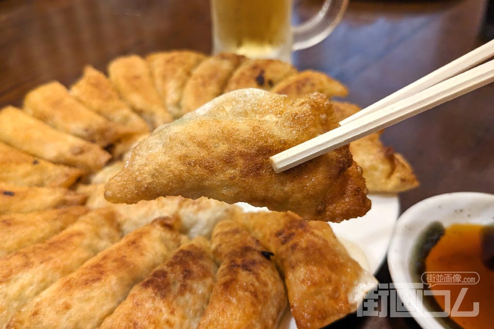 餃子の照井「円盤餃子（一皿：22個）」