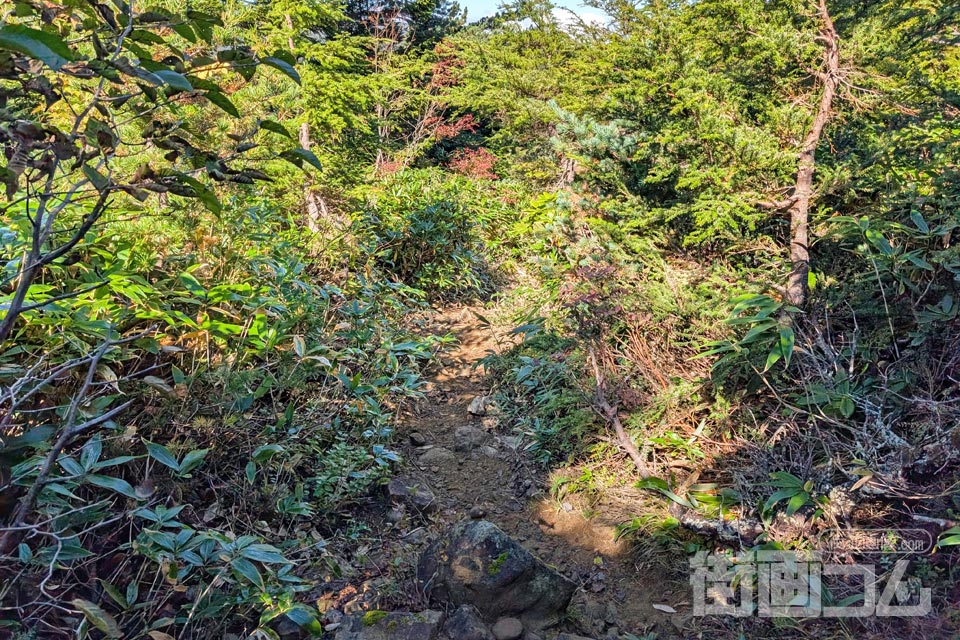 家形山登山道