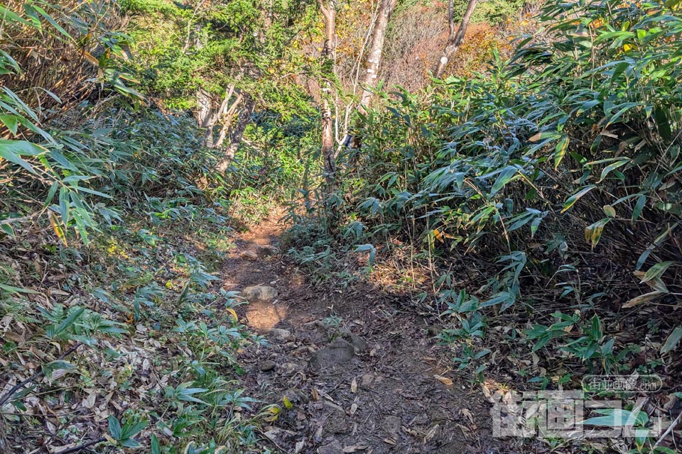 家形山登山道