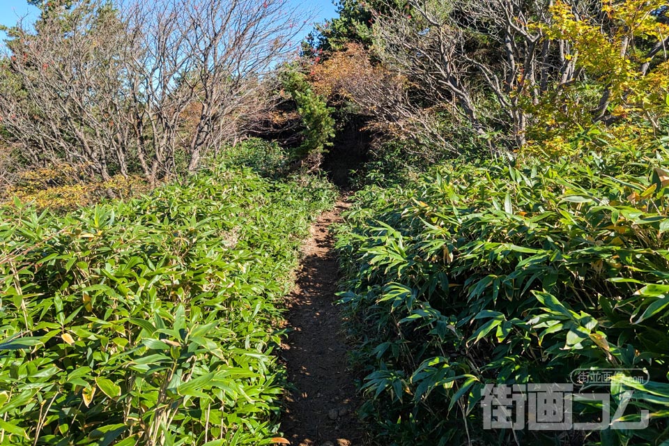 家形山登山道