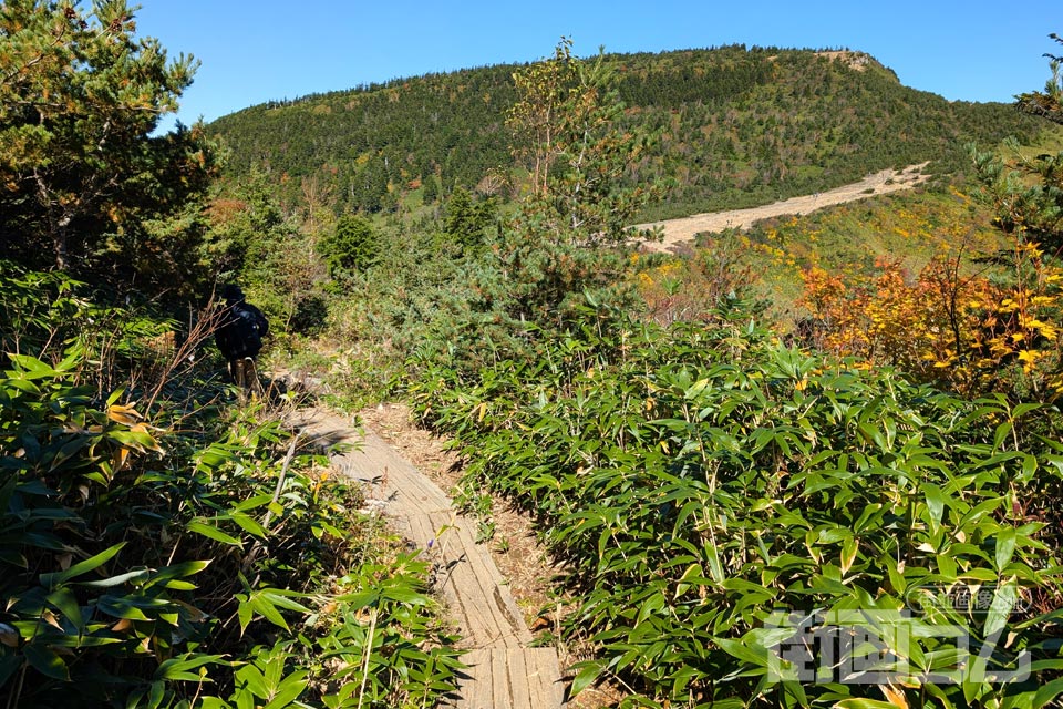 家形山登山道