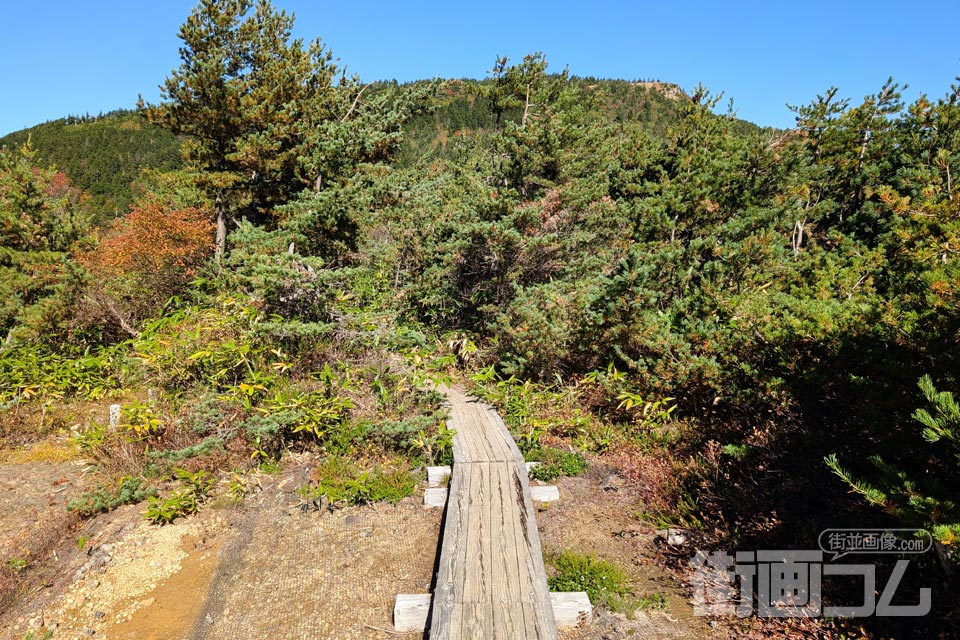 家形山登山道