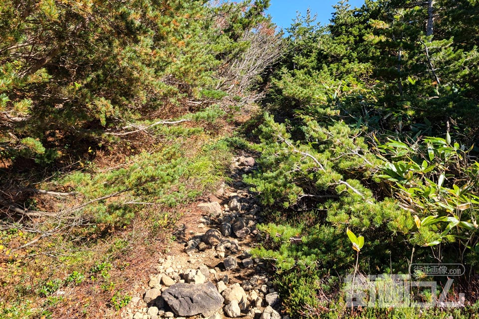 家形山登山道