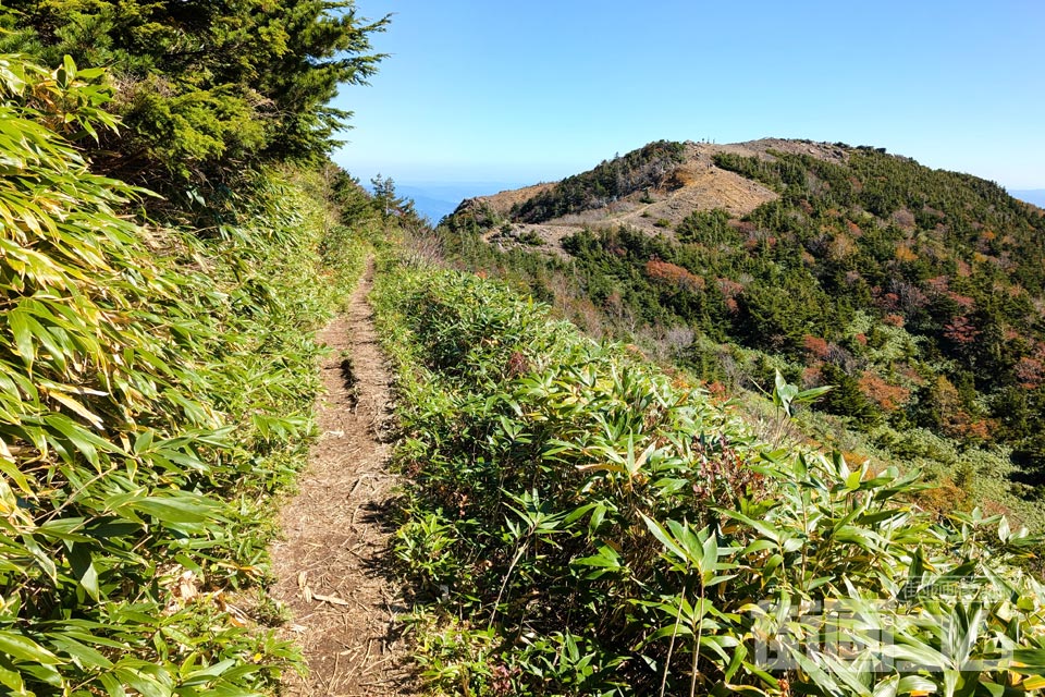 家形山登山道