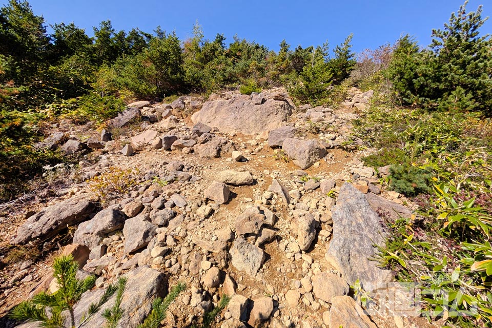 家形山登山道