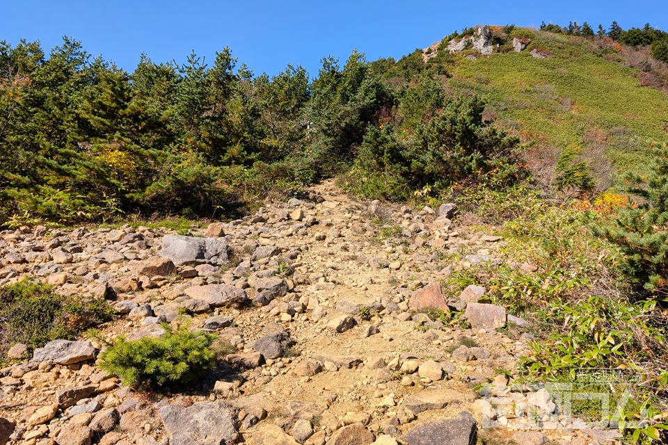 家形山登山道