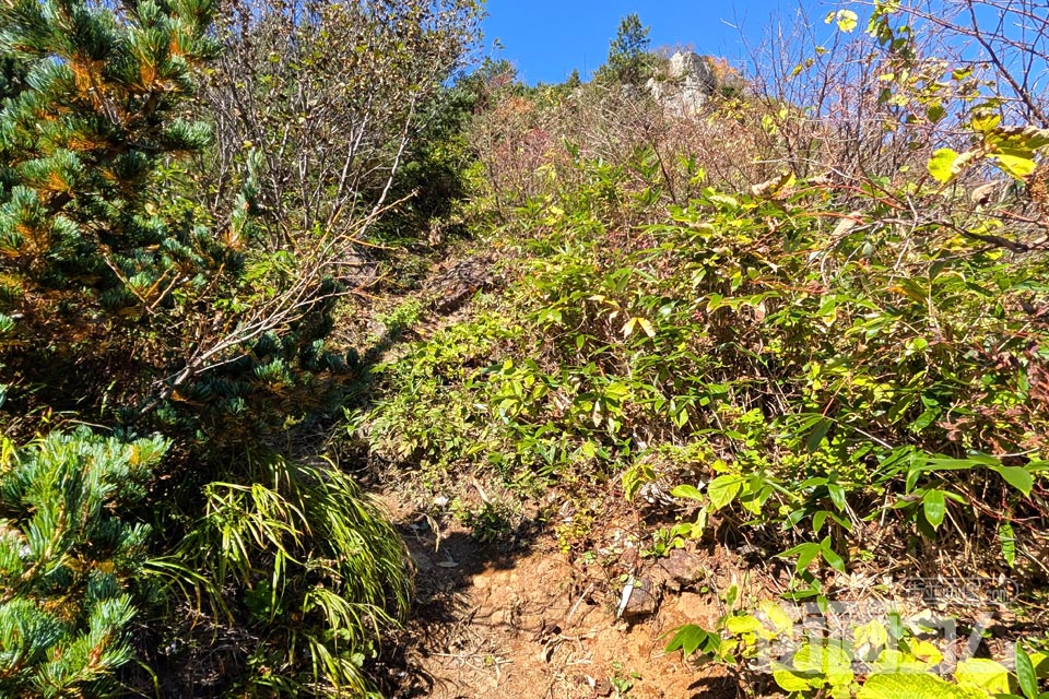 家形山登山道