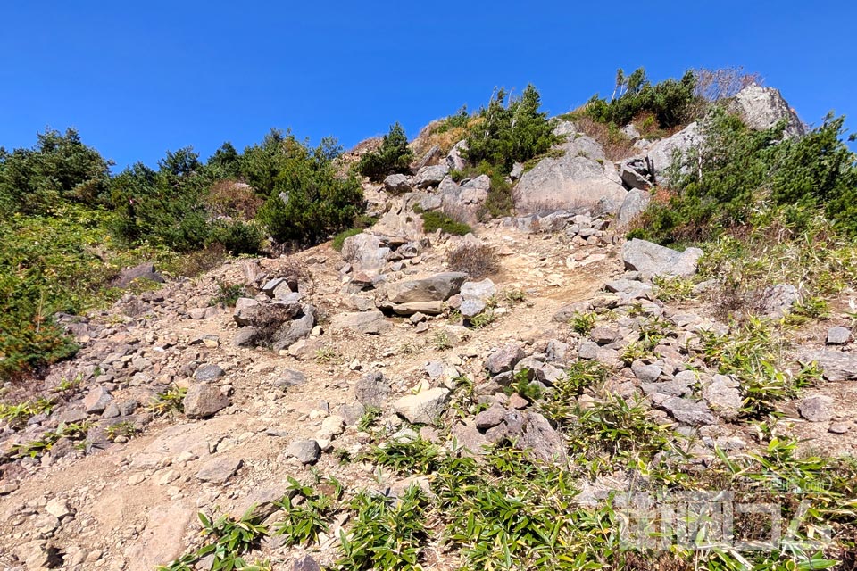 家形山登山道