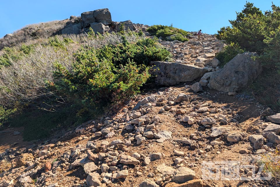 家形山登山道