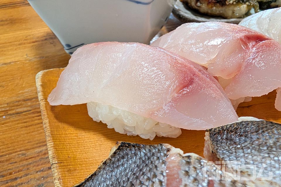 巴寿司「地魚寿し:メジナ」