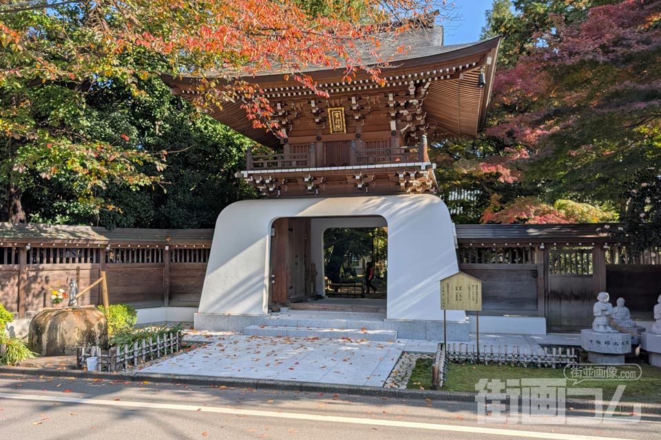 調布「大正寺」！吸い寄せられて入った竜宮門の中は静寂の癒やし空間