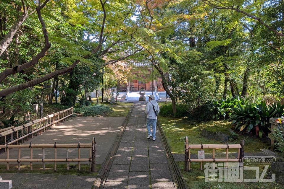 大正寺山門から本堂にのびる石畳の参道