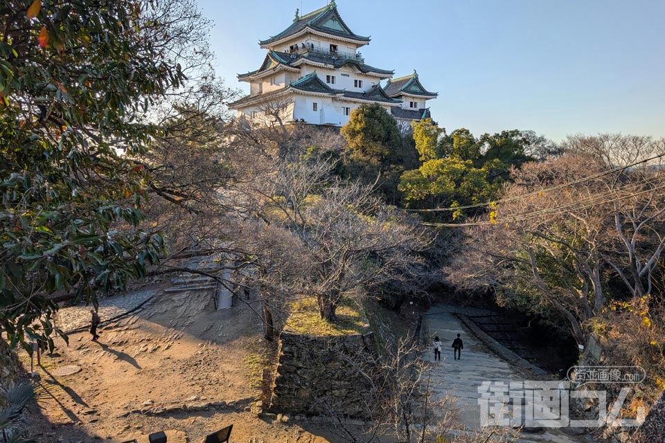 本丸御殿跡からのぞむ和歌山城天守閣