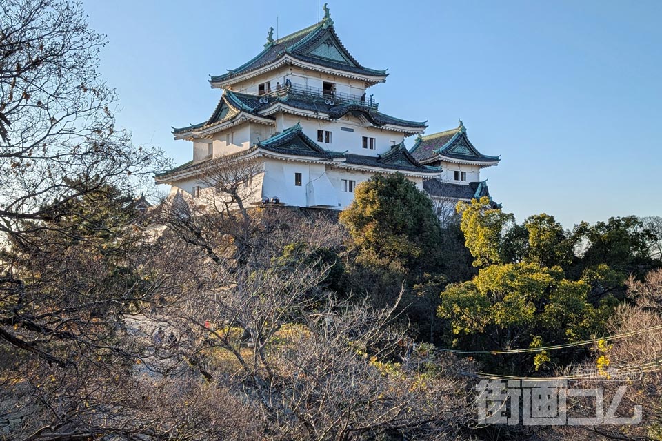 本丸御殿跡からのぞむ和歌山城天守閣アップ