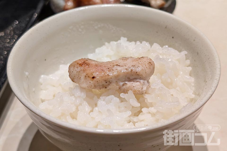 焼けた塩味のむね肉をご飯にあげた写真