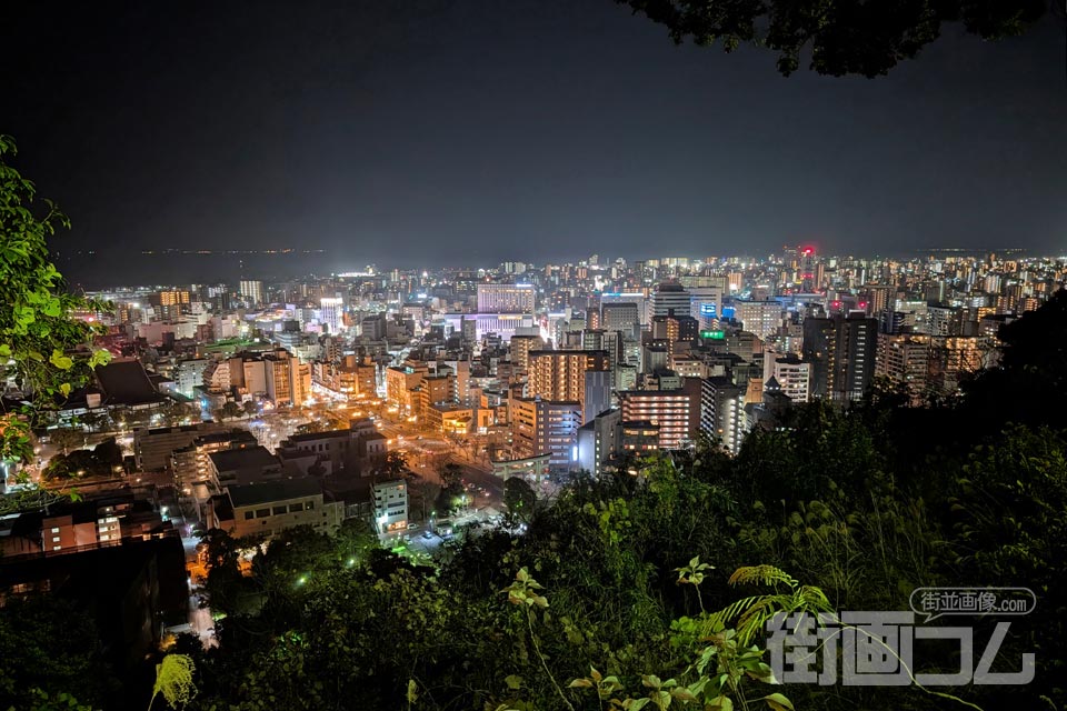 城山公園展望台から鹿児島市街（天文館方面）（夜）