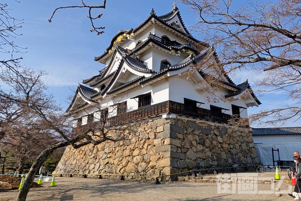 彦根城観光の所要時間は？天守待ち時間込みのリアルな実測レポ