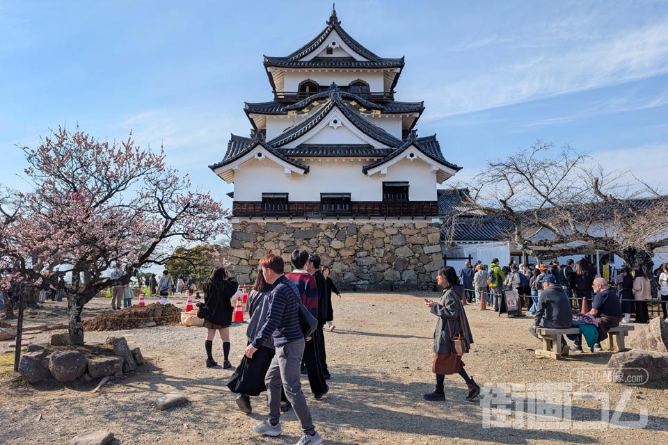 本丸に到着したところから見える彦根城天守閣