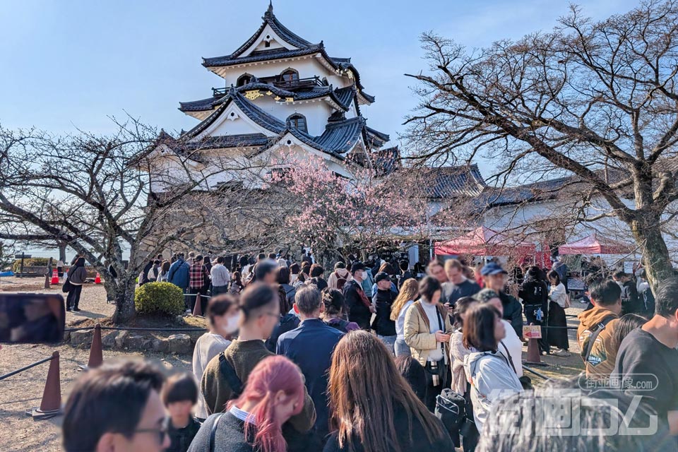 彦根城天守入場待ち行列