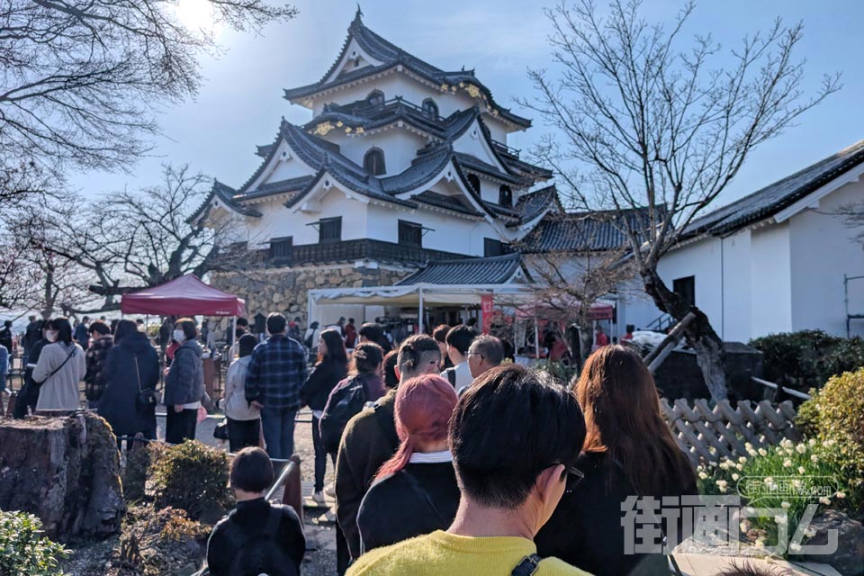 行列と奥に彦根城天守