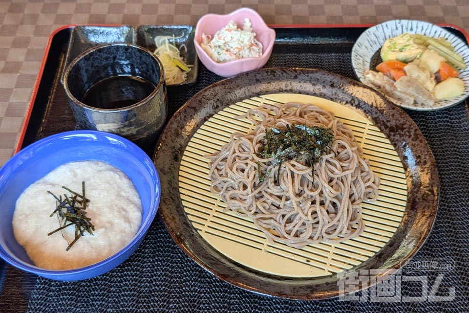 提供された自然薯とろろそば。そば、とろろ、つゆ、小鉢2品の一式