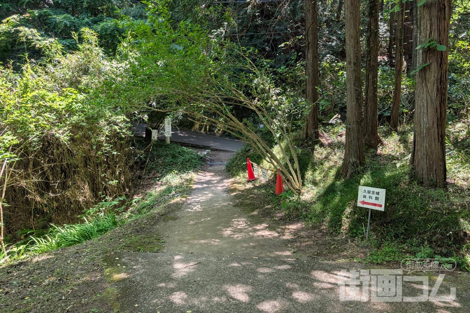 駐車場から林道城山線へ下りる道