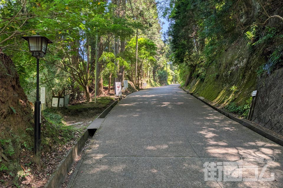 駐車場から合流した林道城山線の登城路