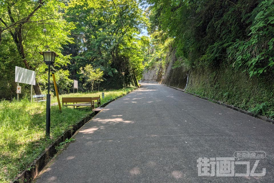 林道城山線の道沿いに設置されたベンチ