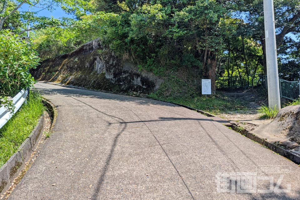 林道城山線と城山探鳥路が分かれるV字の分岐点