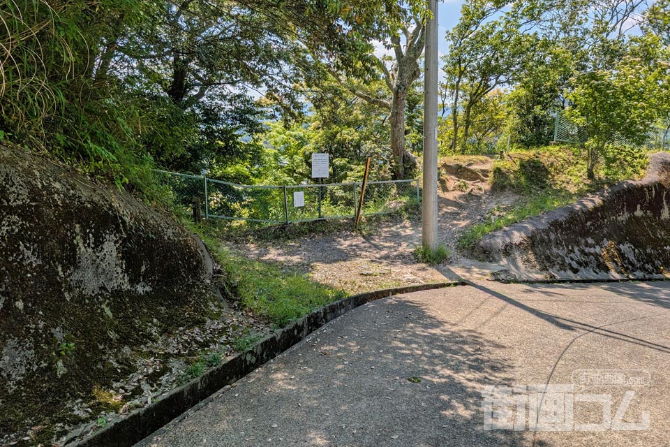 城山探鳥路の分岐点から下る方向の道