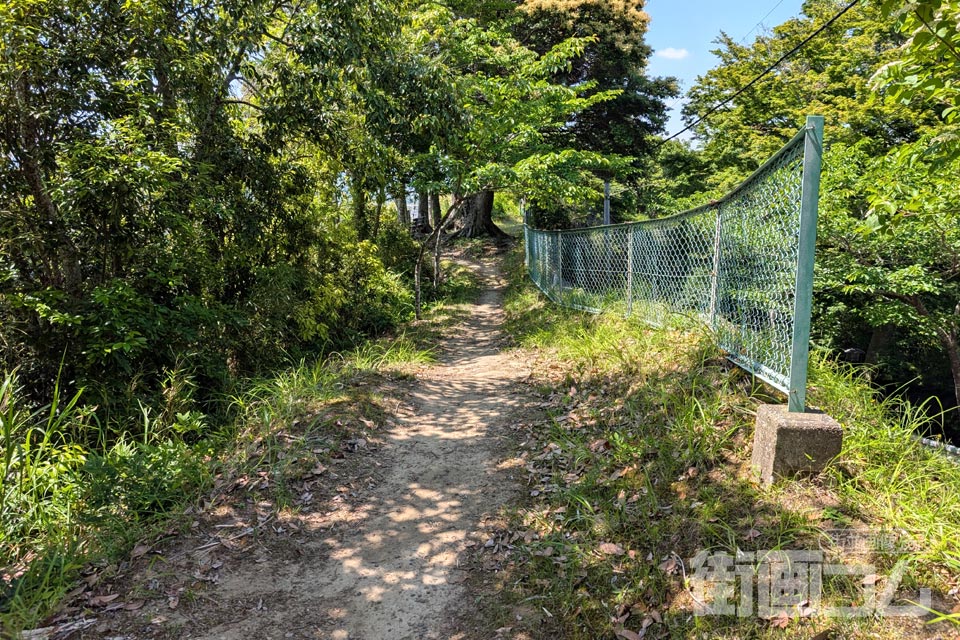 木立に囲まれた城山探鳥路