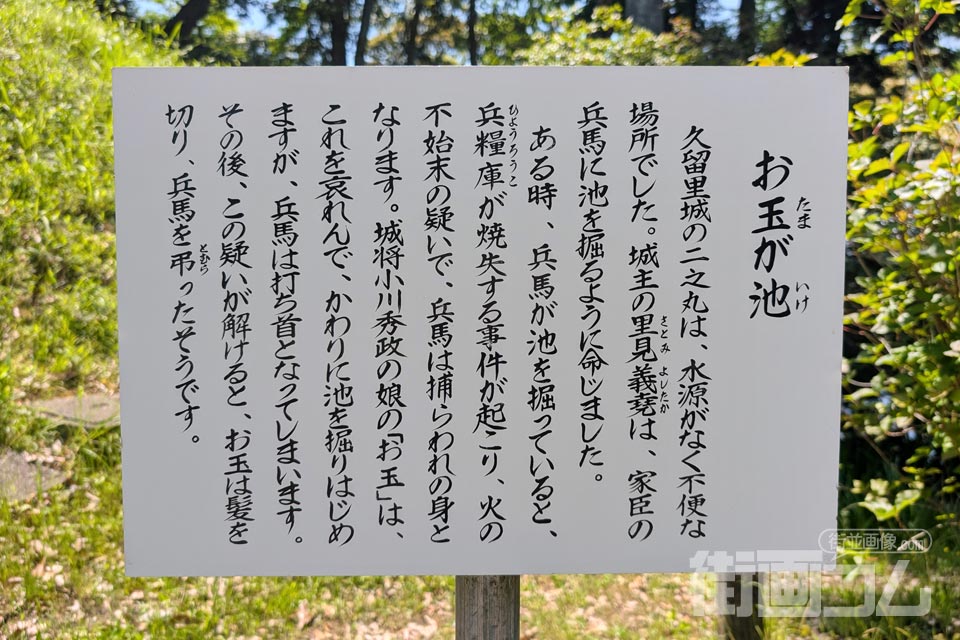 お玉が池の名の由来となった伝説を記した案内板