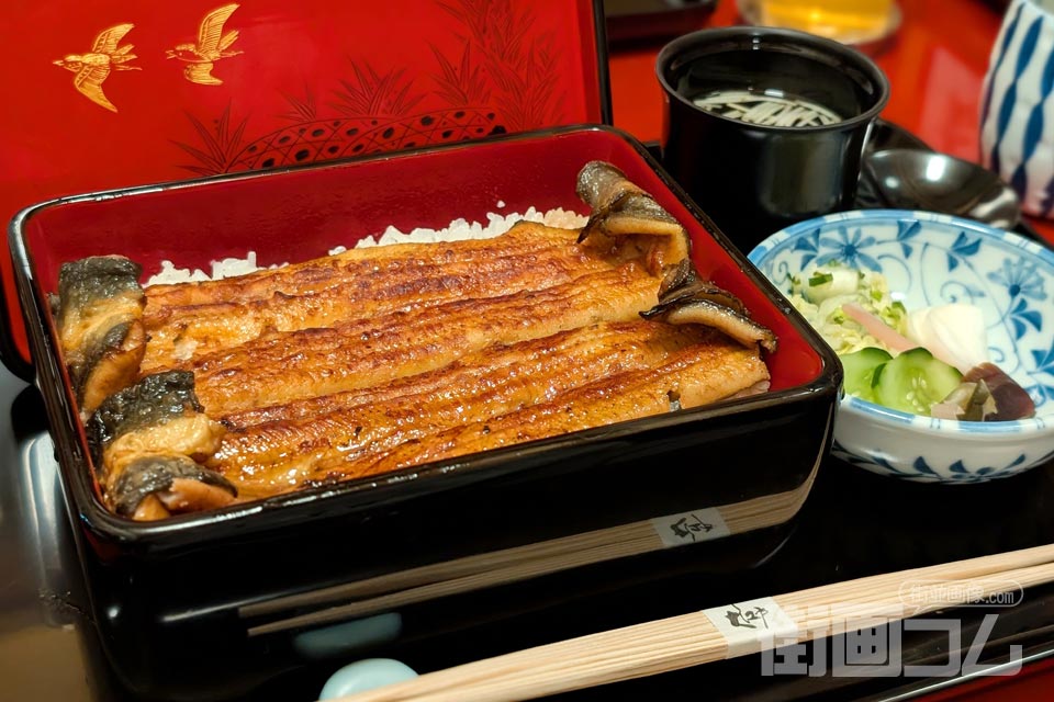 うな重「きさらぎ」の二本いかだ