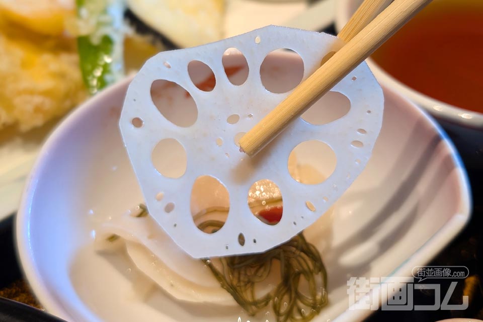 穴が9つある岩国れんこんの断面