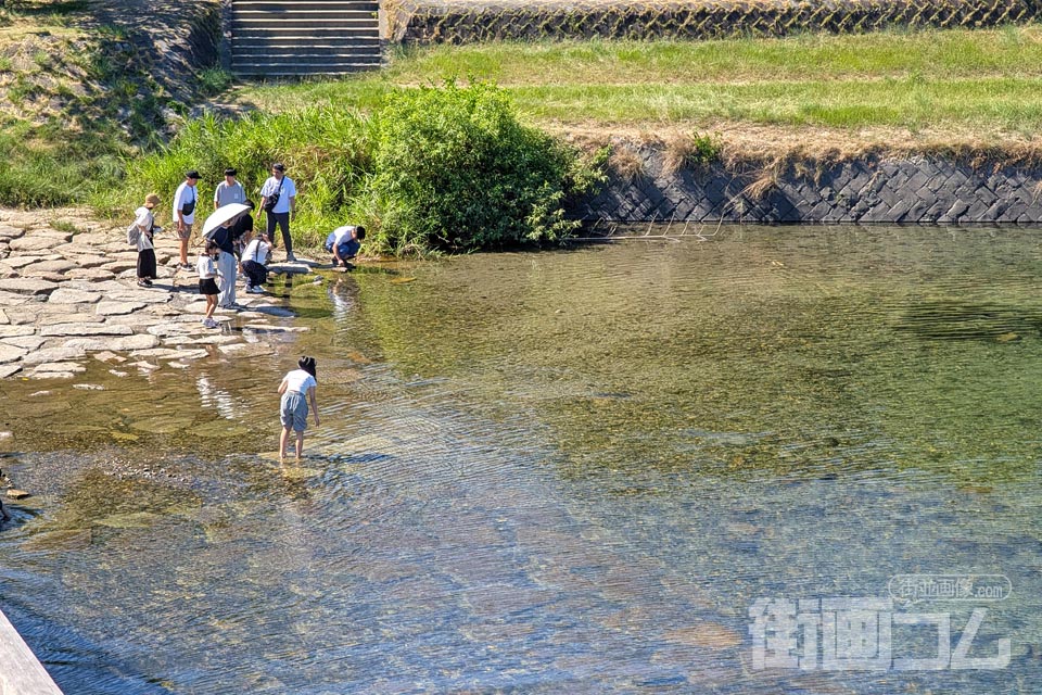 錦帯橋の下の錦川で水遊びをする人たち