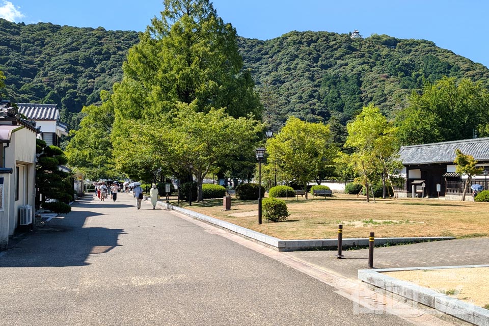 木々の向こうの山上に見える岩国城