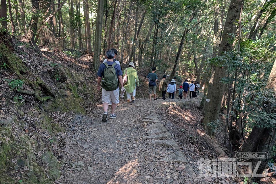 木立の中を岩国城へ向かう山道