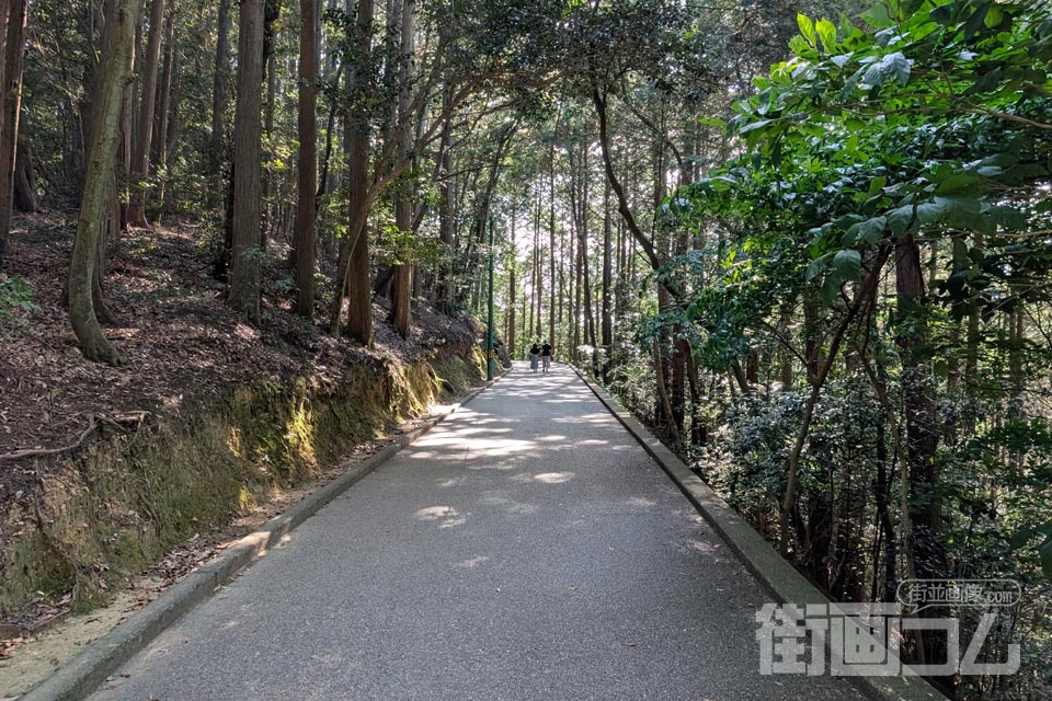 山頂駅へ戻る舗装された平坦路
