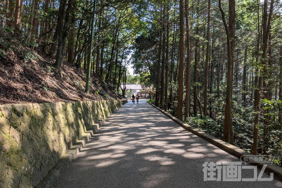 木立の中に続く岩国城の平坦路