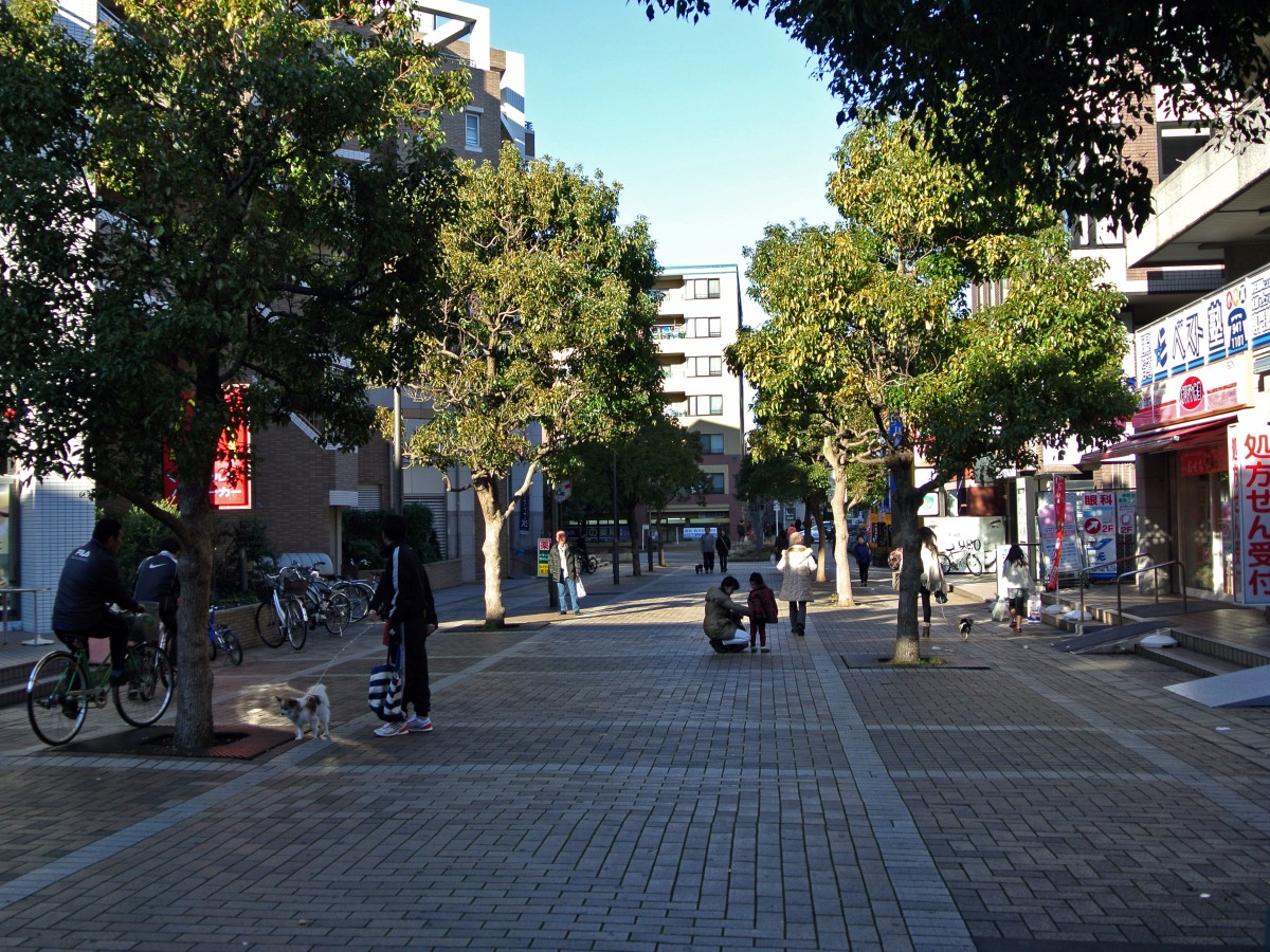 仲町台駅の投稿画像