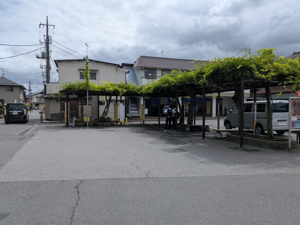 藤の牛島駅の投稿画像